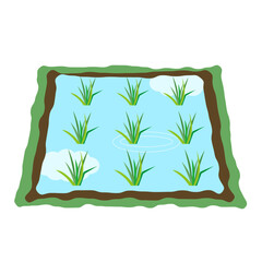 田んぼのイラスト素材