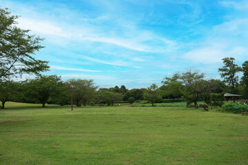 Obraz premium Japanese_Park_01