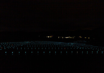 棚田にきらめくイルミネーション