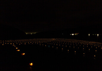 棚田にきらめくイルミネーション