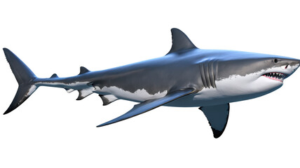 Naklejka premium White shark