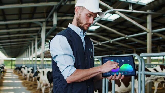 Young smart farmer using smart device management in the cow livestock. Technology innovations for increasing productivity