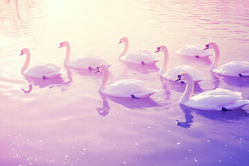 A group of swans swimming together in a dreamy pastel colored lake 