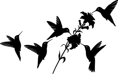 Hummingbird silhouette vector drawing with flower nectar black and white illustration graphic design art 1