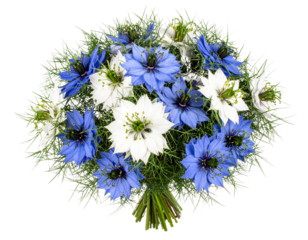 Elegant Compact Bunch of Colorful Nigella Flowers in Hand Tied Style Isolated on Transparent Background PNG