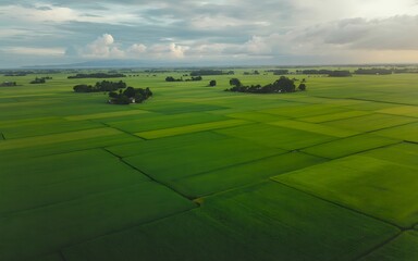 Aerial view of a vibrant green golf course and expansive fields under a clear blue summer sky with scattered clouds and trees