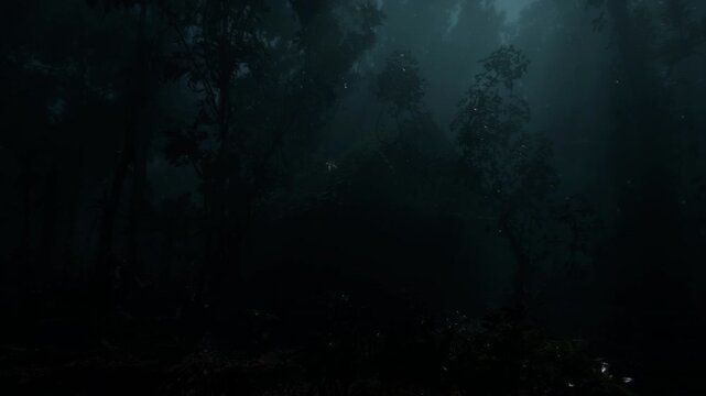 Small Night Rain And Village House In The Forest, Loop Video