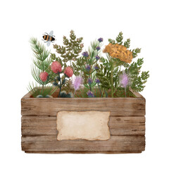 Rustic Wooden Planter filled with Colorful Herbs and Vibrant Flowers for your Garden, watercolor illustration