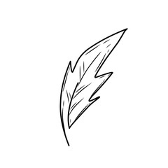 Obraz premium Hand drawn Doodle feathers