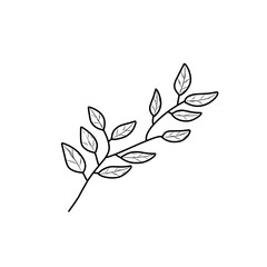 hand drawn natural leaf 