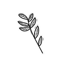 hand drawn natural leaf 