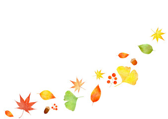 どんぐり　イチョウ　もみじ　秋　イラスト © Mami