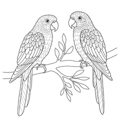 Two parrots facing each other on a branch, illustrated in clean black-and-white line art for coloring.