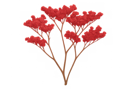Vivid red tree, transparent backdrop, highlighting intense crimson foliage for graphic design