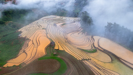  Hmong farmers prepare their fields and plant rice on terraced fields in Mu Cang Chai, Yen Bai....