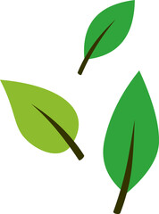 Flying Leaves Illustration