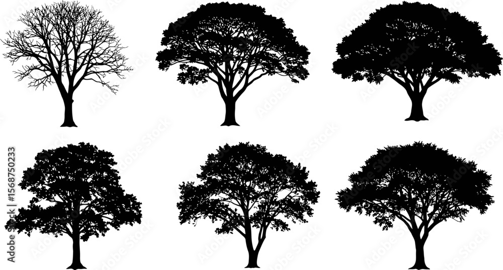 Poster tree silhouette vector collection: diverse tree shapes for landscaping and design projects use case