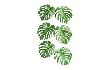 Lush monstera leaves with vibrant green hues arranged in visually appealing pattern, perfect for adding touch of nature to any space. large leaves create fresh and inviting atmosphere