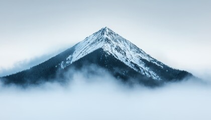 A solitary snow-capped mountain peak rises above a layer of mist, creating a serene and tranquil natural landscape.