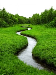 Serene Curved Stream Flowing Through Lush Green Grass and Vegetation in Nature