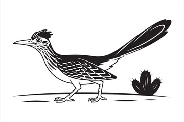Obraz premium Roadrunner Standing in Open Desert – Black and White Line Drawing