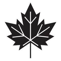 snowflake on a black background