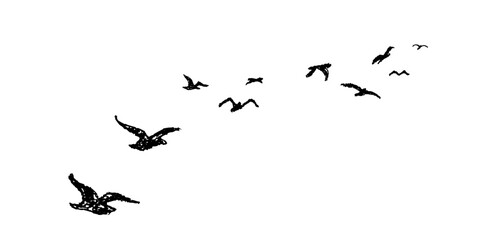 Silhouette of birds flying away. Shadow of flock of birds flying high in the sky drawn with wax pencil or pastel. Graphic element written with black charcoal pen. Vector illustration of simple bird