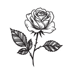 Elegant black and white rose illustration perfect for tattoo design and vintage art projects
