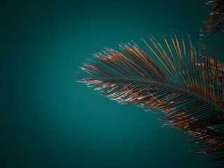 An evening beach sky showcasing palm trees