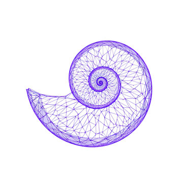 Abstract seashell spiral design, geometric art, lines, and triangles a purple outline, conceptual illustration d 1 (1081)-Photoroom.png