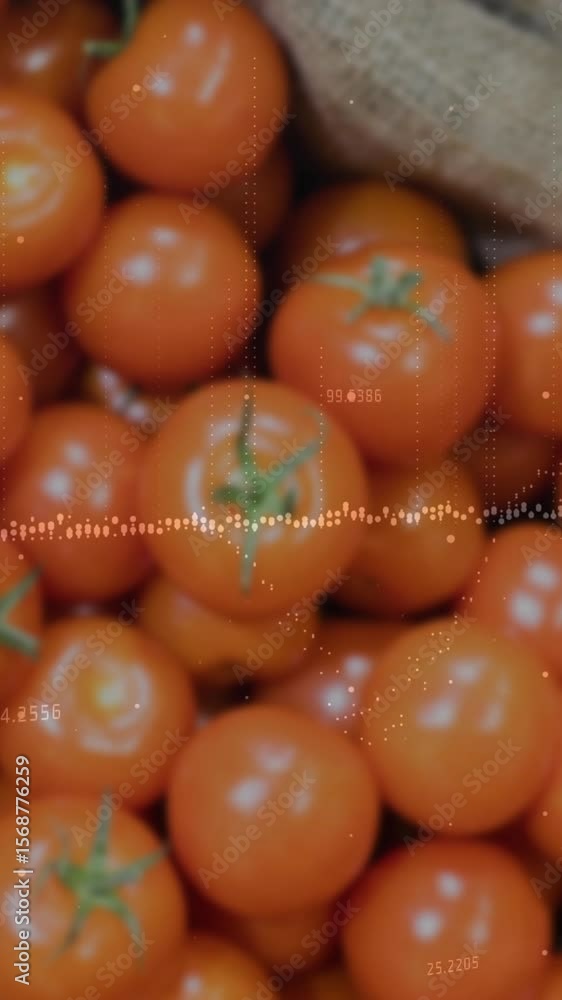 Poster animation of data processing over close up of fresh tomatoes at a grocery store
