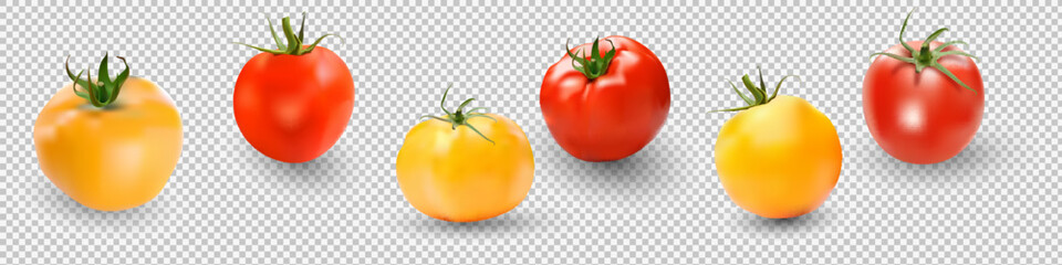Tomato set. Red tomato collection. Photo-realistic vector tomatoes on transparent background.