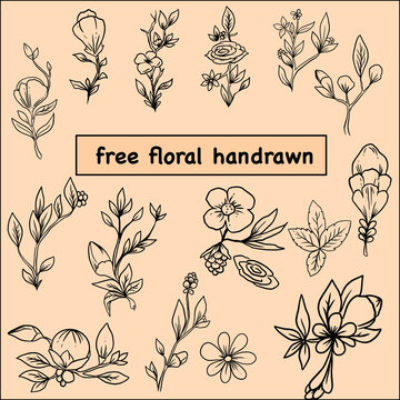 set of floral design elements handdrawn
