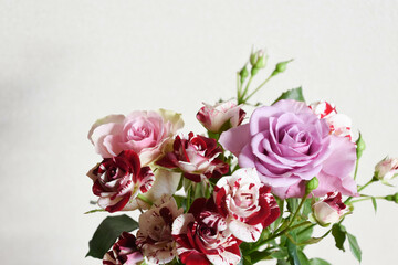 カラフルなばら