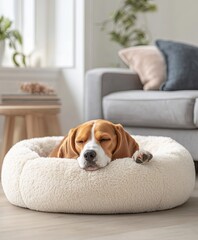 A happy beagle dog peacefully sleeping in a soft round pet bed in a bright and cozy modern living room with warm natural light

