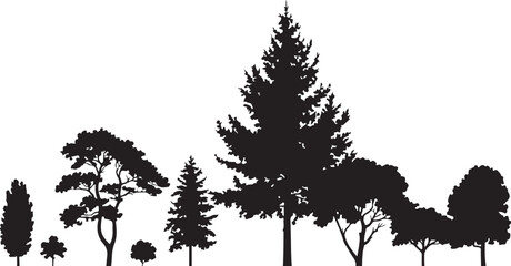 Black Silhouette Vector Illustration of Various Trees Including Pine Cypress and Deciduous Trees on White Background