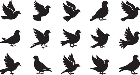 Black Silhouette Vector Pigeons in Various Poses Flying and Standing Collection of Bird Icons Graphic Design Elements