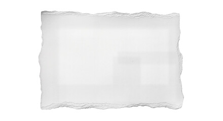 torn blank pages with uneven texture edges. set of ripped white paper sheets png isolated on...