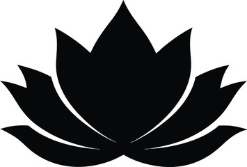 Water Lily Line Art, Black and White, Floral Design, Botanical Illustration,