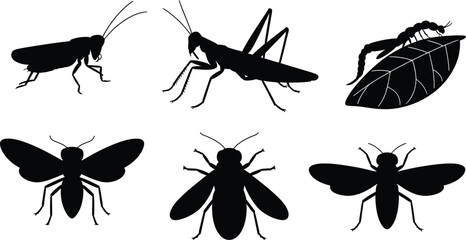 Collection of black silhouette vector bug life on leaf and airborne pests ideal for agriculture and infestation design