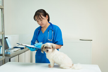 A middle-aged Asian female veterinarian is administering a vaccine or injection to a dog on a...