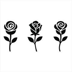 Elegant Black and White Rose Illustrations: Three Stages of Bloom