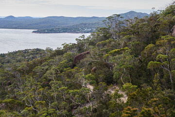 View from the Coles Bay Lookout - Freycinet Peninsula, Tasmania, Australia