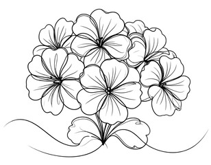 Minimalist Single-Line Drawing of Geranium Flower, isolated on transparent background