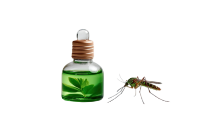 Mosquito repellent: An essential oil bottle offers a natural shield, while a mosquito lands nearby, presenting a concept of environmental protection and personal care.
