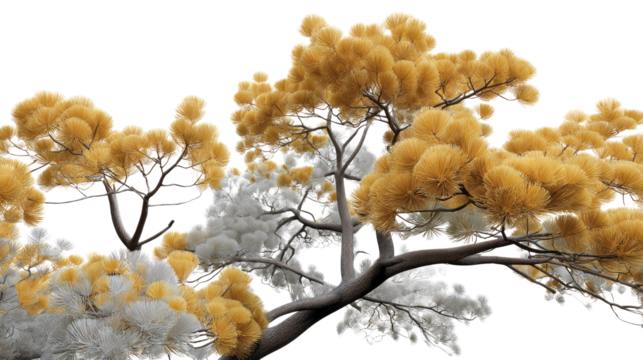 Autumnal Bonsai: A meticulously crafted bonsai tree, its branches adorned with vibrant yellow leaves, epitomizes the beauty of autumn. An artistic interpretation of the fall season.