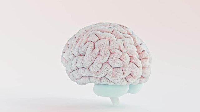 Brain simulation, can be used in background elements related to Brain Working, stimulating or repair. Minimal idea concept. Animation revolves around itself seamless loop and Alpha Channel. 3D Render.