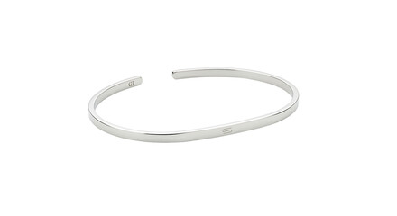 Silver bangle accessory