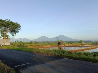 Mountain views, rice fields and blue sky in Indonesia.