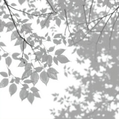 shadow overlay effect. Gray shadow of leaves isolated on white background. Plant foliage leaf shadow light effect. Mockup Blurred tree branch shadow. Ideal for summer spring design elements PNG